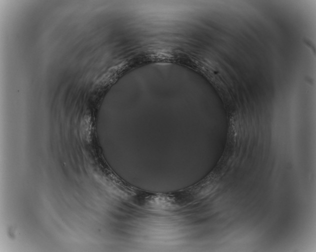 X0000100750223200807101711