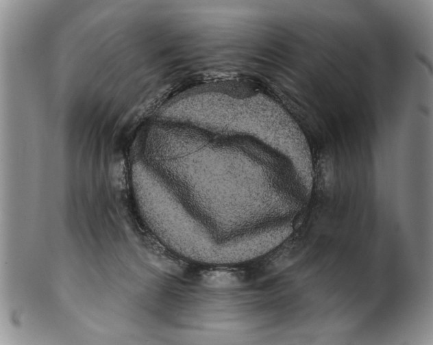 X0000100750224200807101711