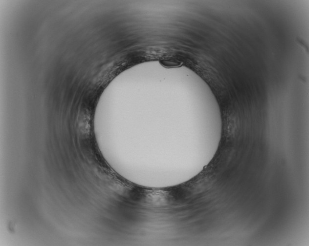 X0000100750226200807101711