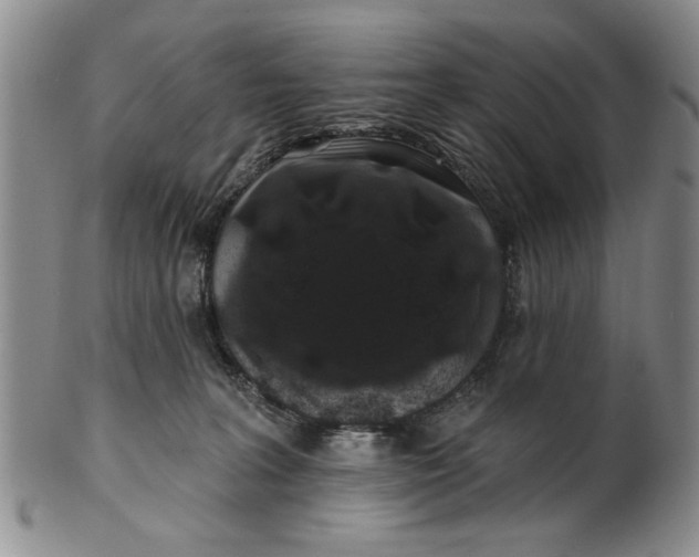 X0000100750227200807101711