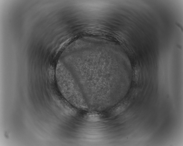 X0000100750228200807101711