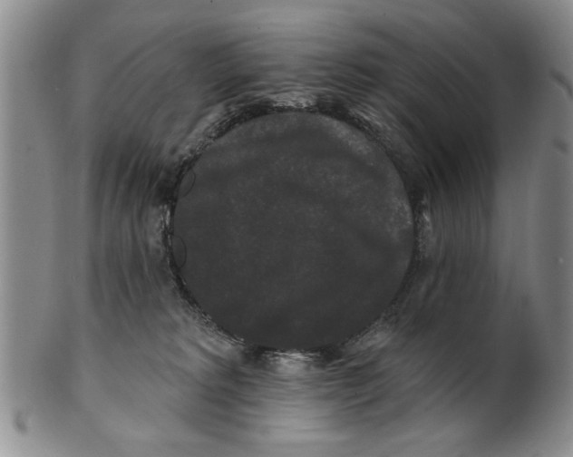 X0000100750229200807101711