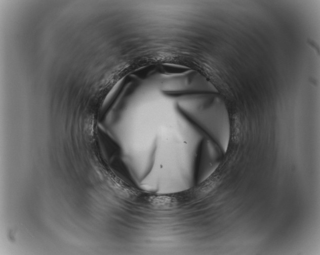 X0000100750230200807101711