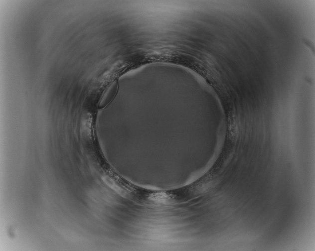 X0000100750231200807101711