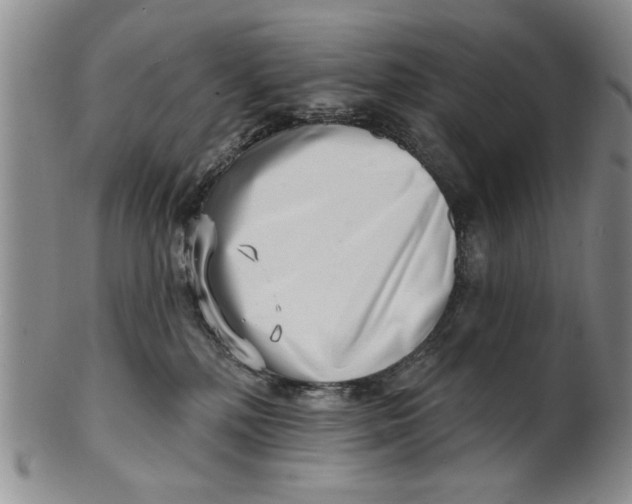 X0000100750232200807101711