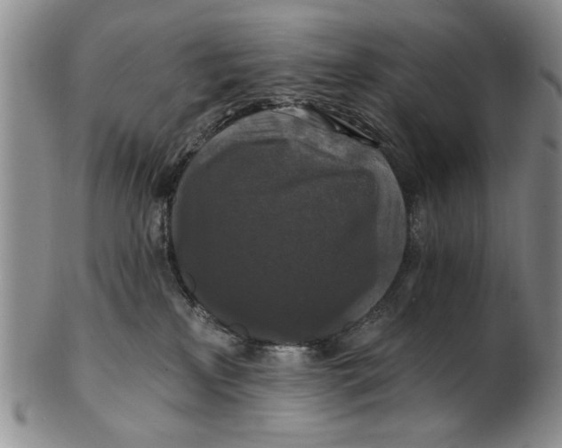 X0000100750233200807101711