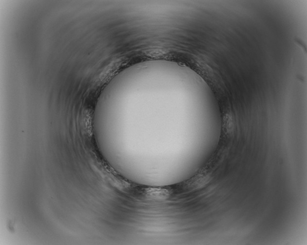 X0000100750234200807101711