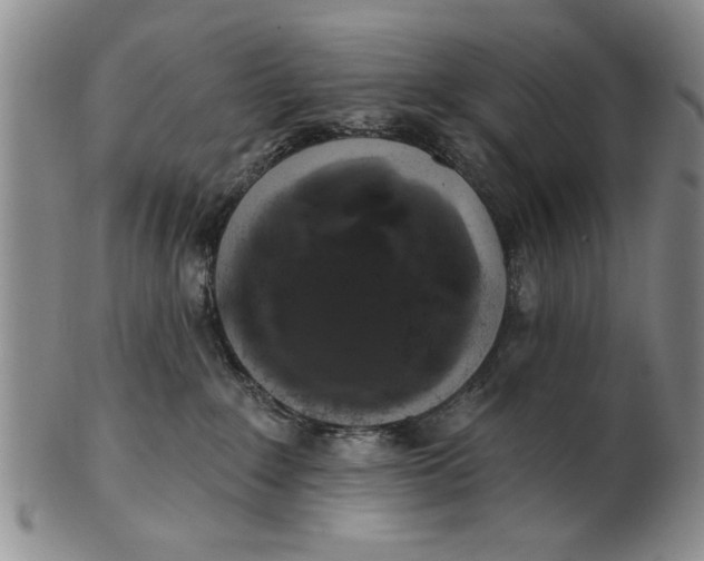 X0000100750235200807101711