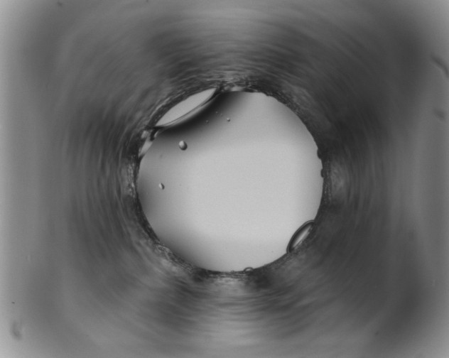 X0000100750236200807101711