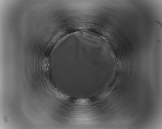 X0000100750237200807101711