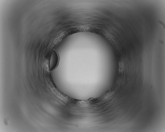 X0000100750238200807101711