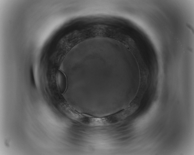 X0000100750239200807101711