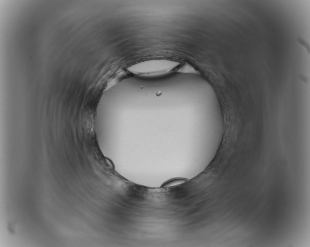 X0000100750240200807101711