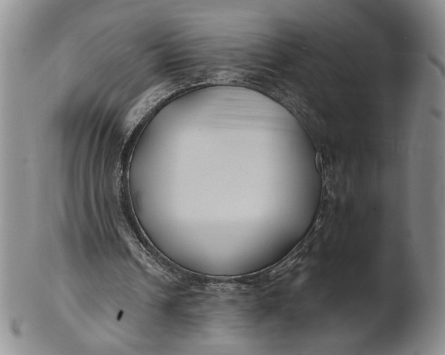 X0000100750242200807101710