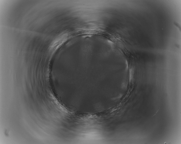 X0000100750243200807101710