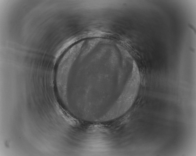 X0000100750244200807101710