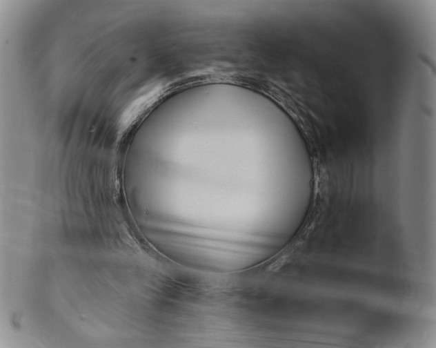 X0000100750245200807101710