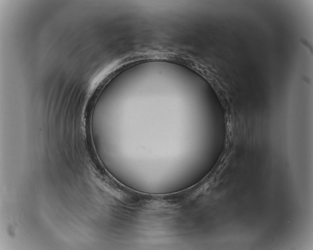 X0000100750246200807101710