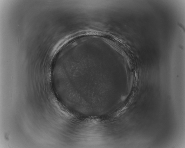 X0000100750247200807101710