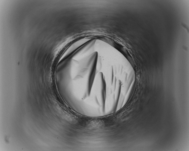 X0000100750248200807101710