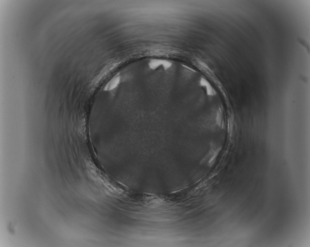 X0000100750249200807101710