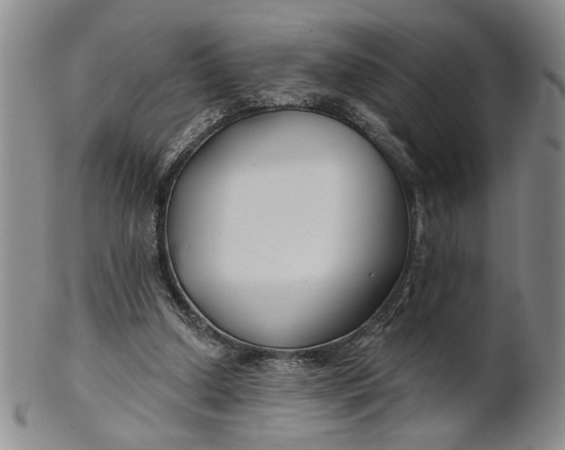 X0000100750250200807101710