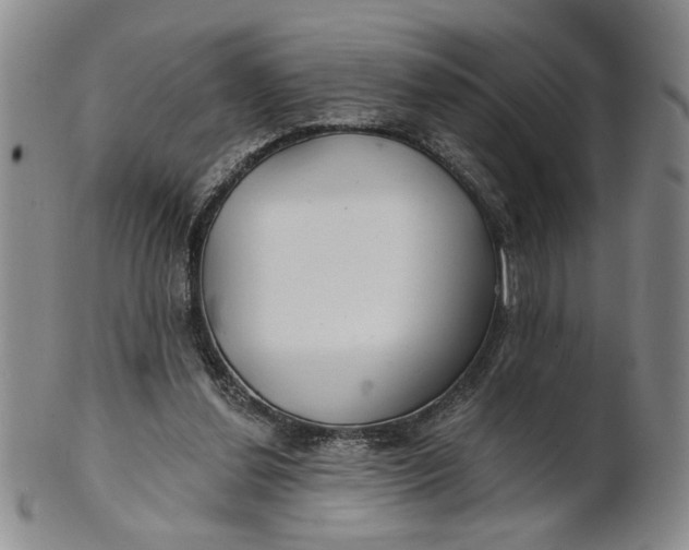 X0000100750252200807101710