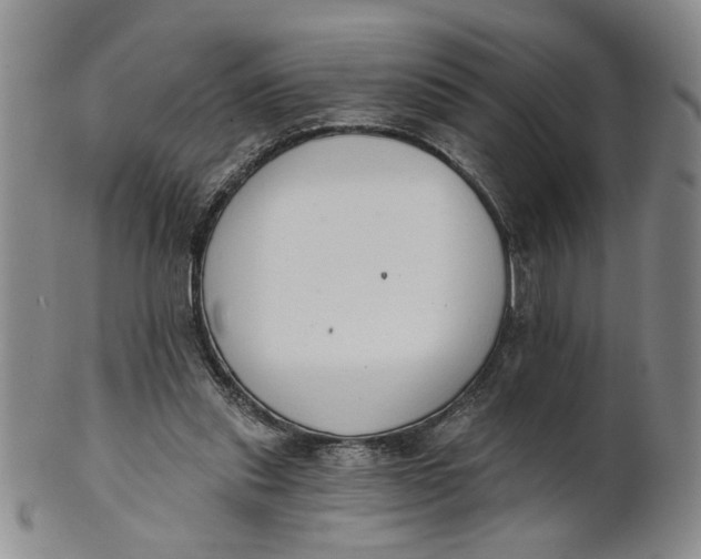 X0000100750253200807101710