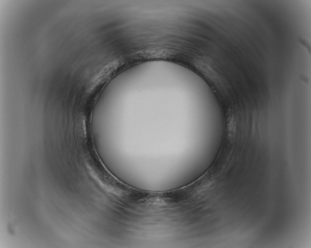 X0000100750254200807101710