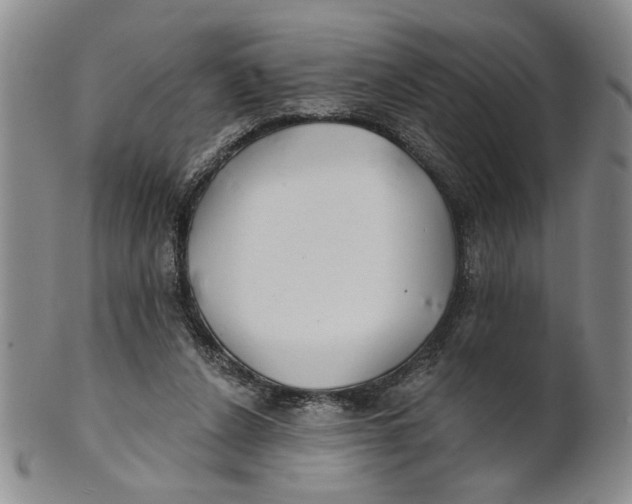 X0000100750256200807101710