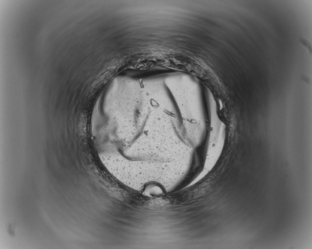 X0000100750257200807101710