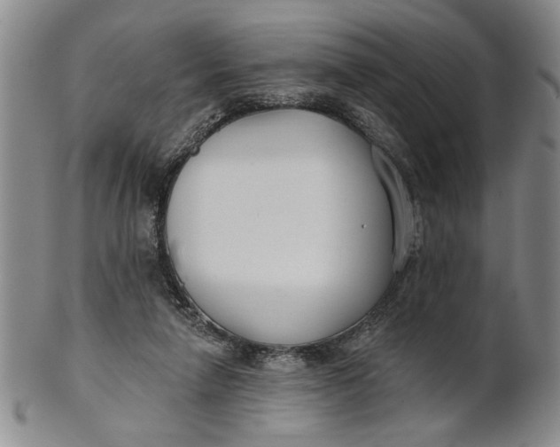 X0000100750258200807101710