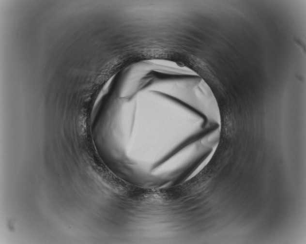 X0000100750259200807101710