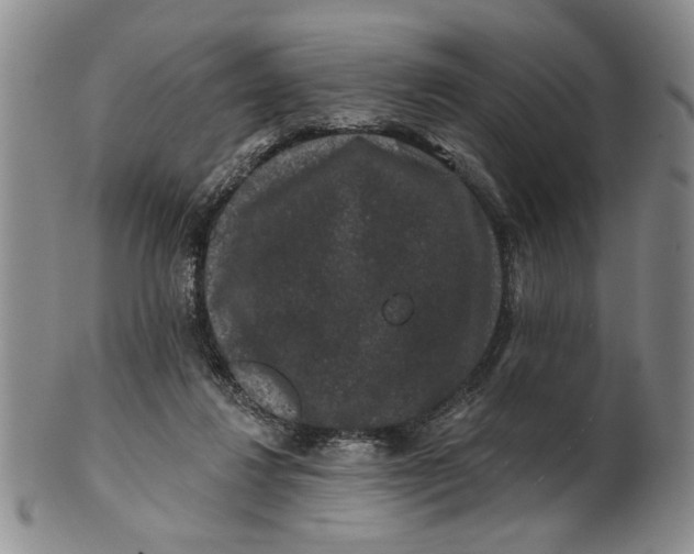 X0000100750260200807101710