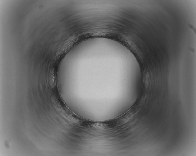 X0000100750261200807101710