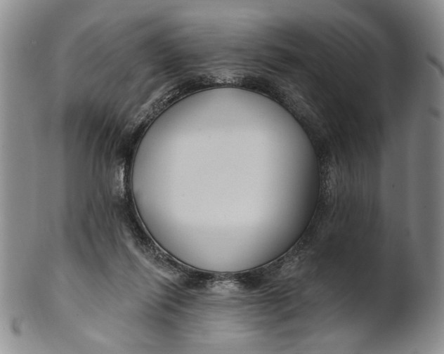 X0000100750262200807101710