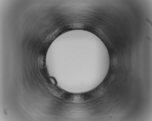 X0000100750264200807101711