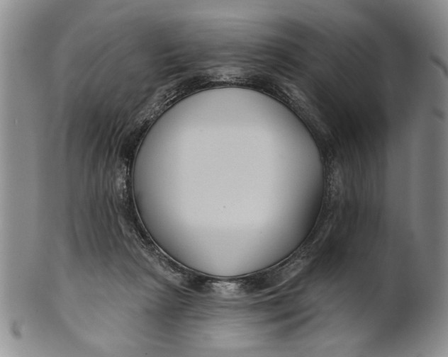 X0000100750265200807101711