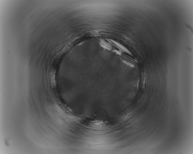 X0000100750267200807101711