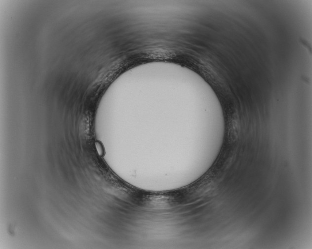 X0000100750268200807101711