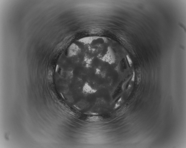 X0000100750269200807101711