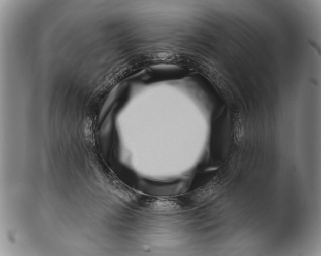 X0000100750270200807101711