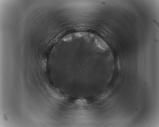 X0000100750271200807101711