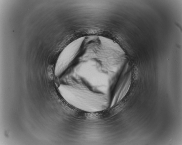 X0000100750273200807101711