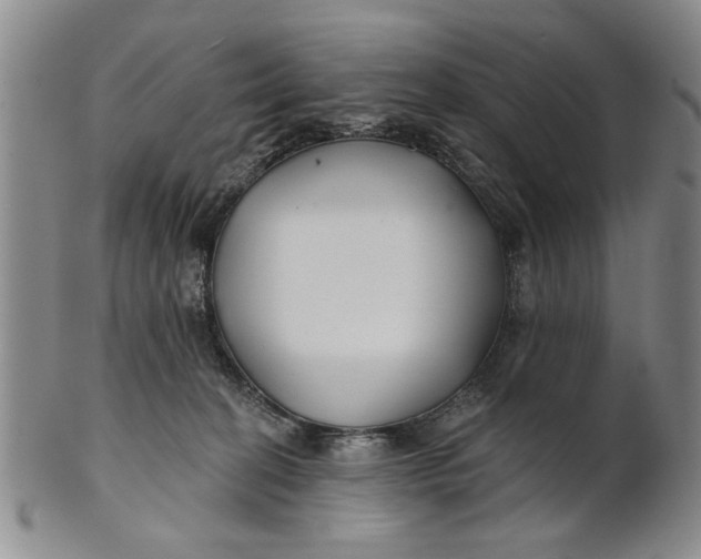 X0000100750274200807101711