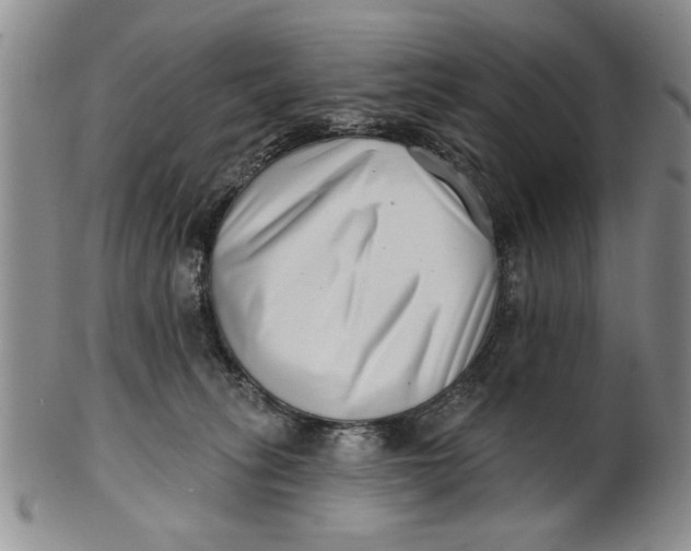 X0000100750275200807101711