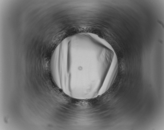 X0000100750276200807101711