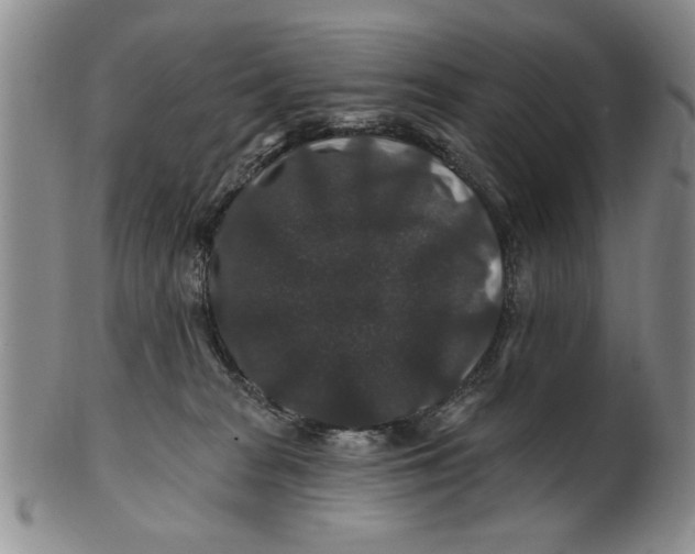 X0000100750277200807101711