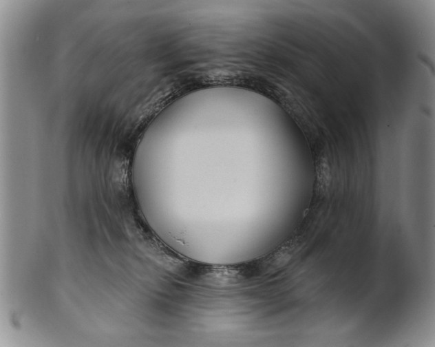 X0000100750278200807101711