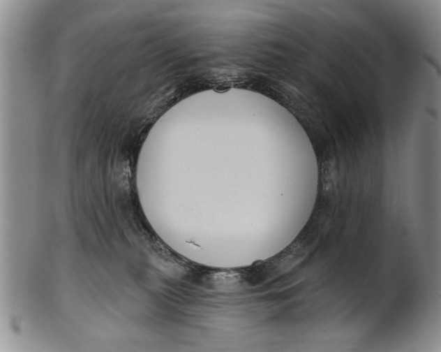 X0000100750279200807101711